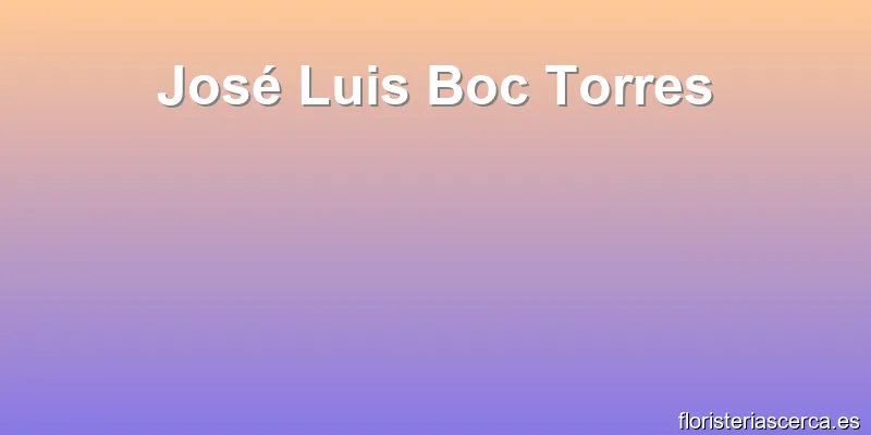 José Luis Boc Torres