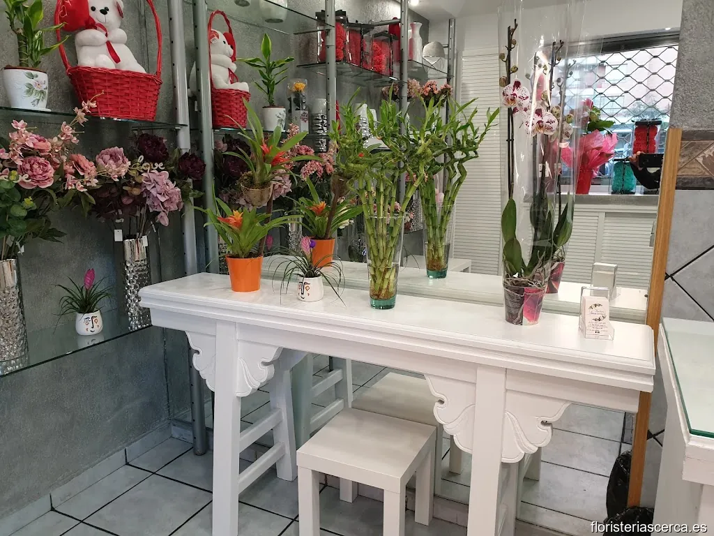 Floristería Merca 80