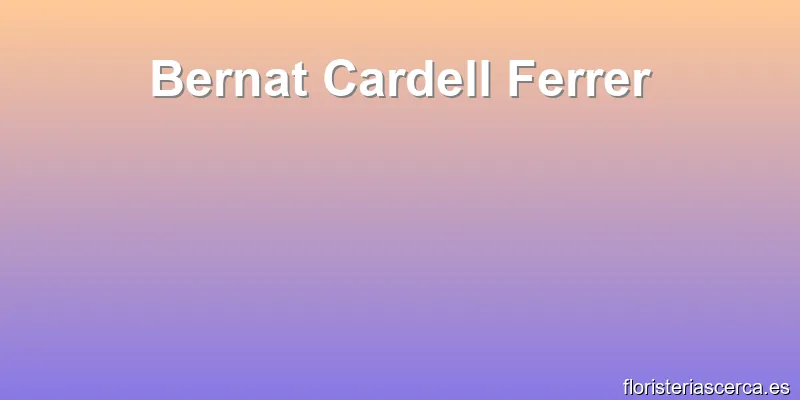 Bernat Cardell Ferrer