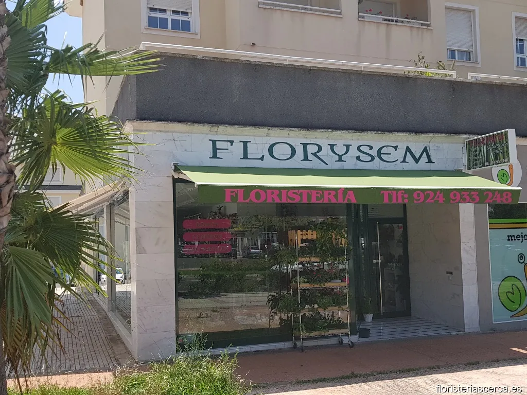 FLORISTERIA FLORYSEM