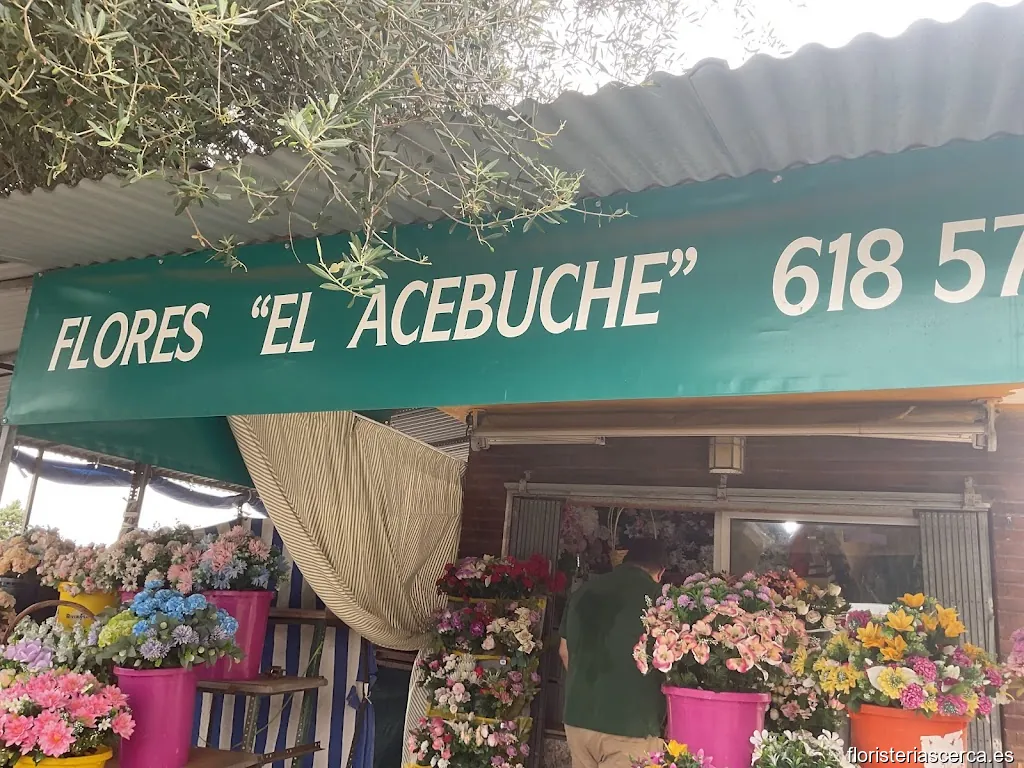 Floristería El Acebuche