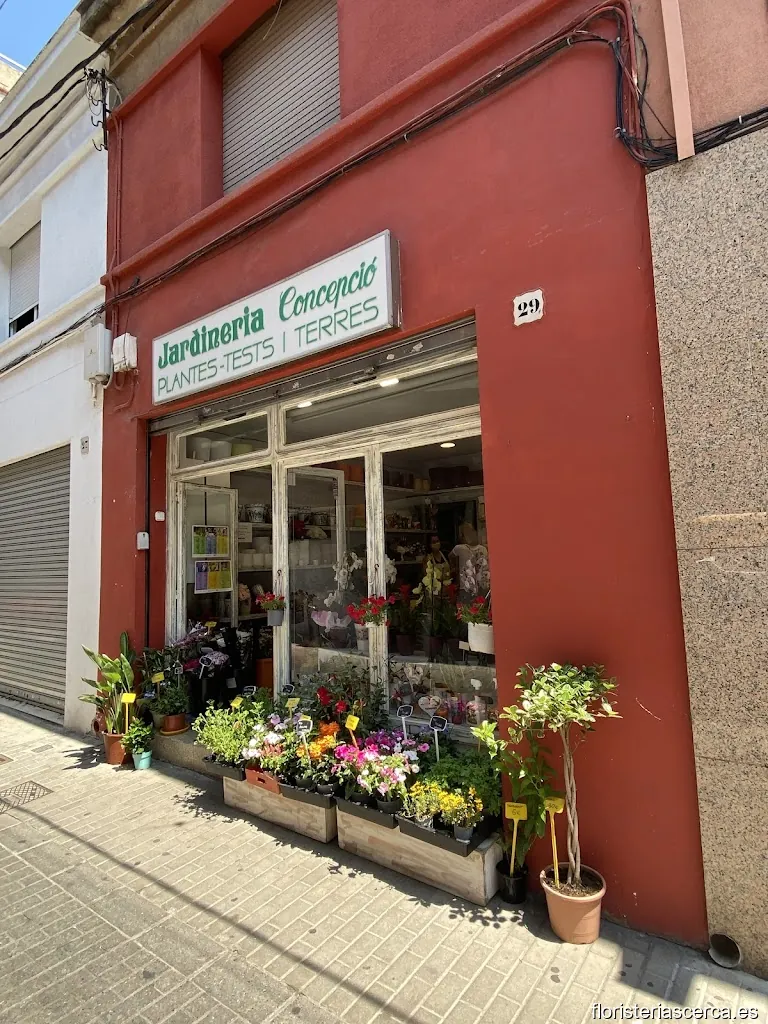 Jardinería Concepció