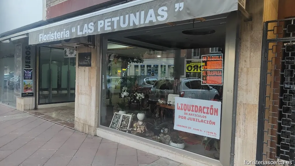 Floristería Las Petunias