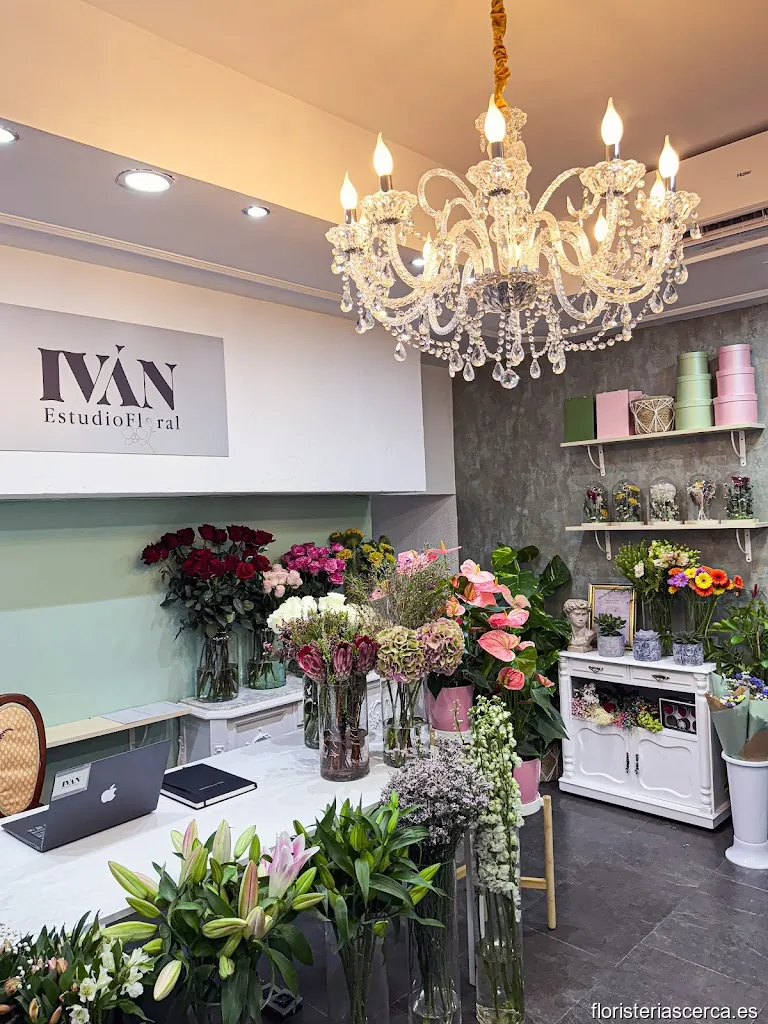 Iván Estudio Floral