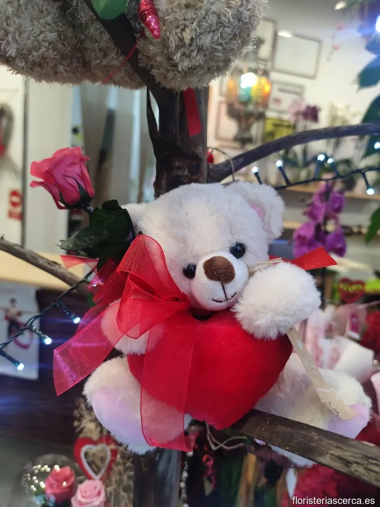 FELIÑARÁN floristas