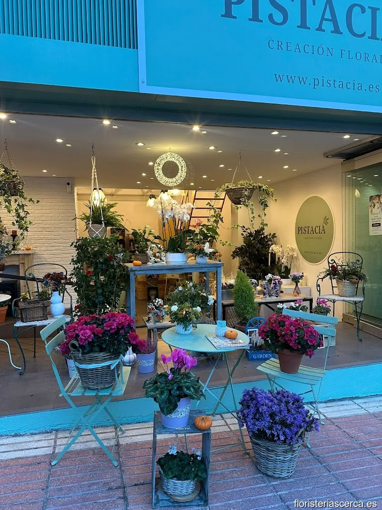 Pistacia Creación Floral