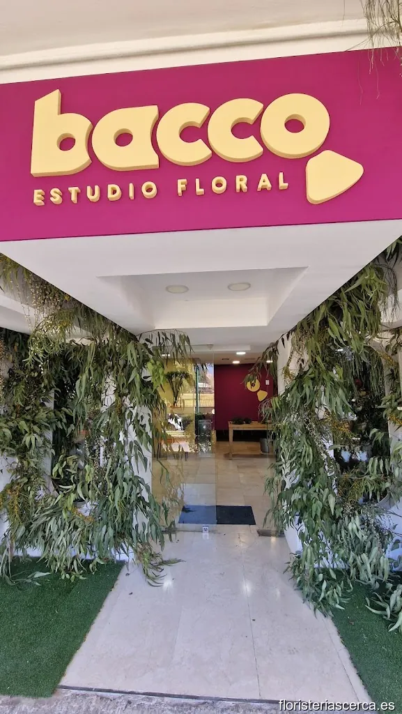 Bacco Estudio Floral