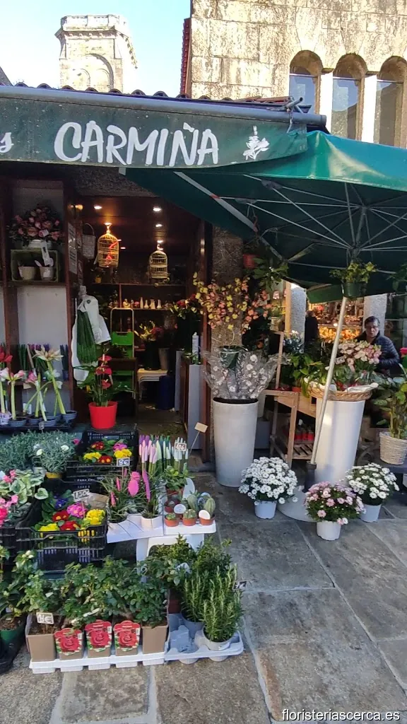 Floristas Carmiña