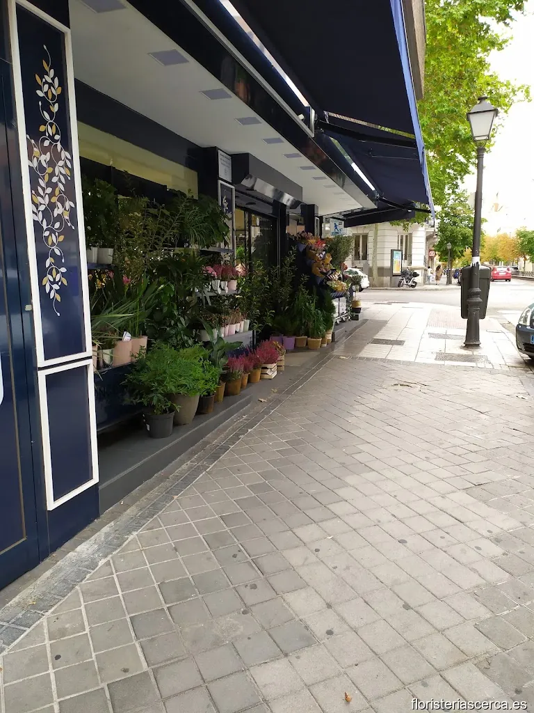 Flores Memory Floristería tanatorio M30