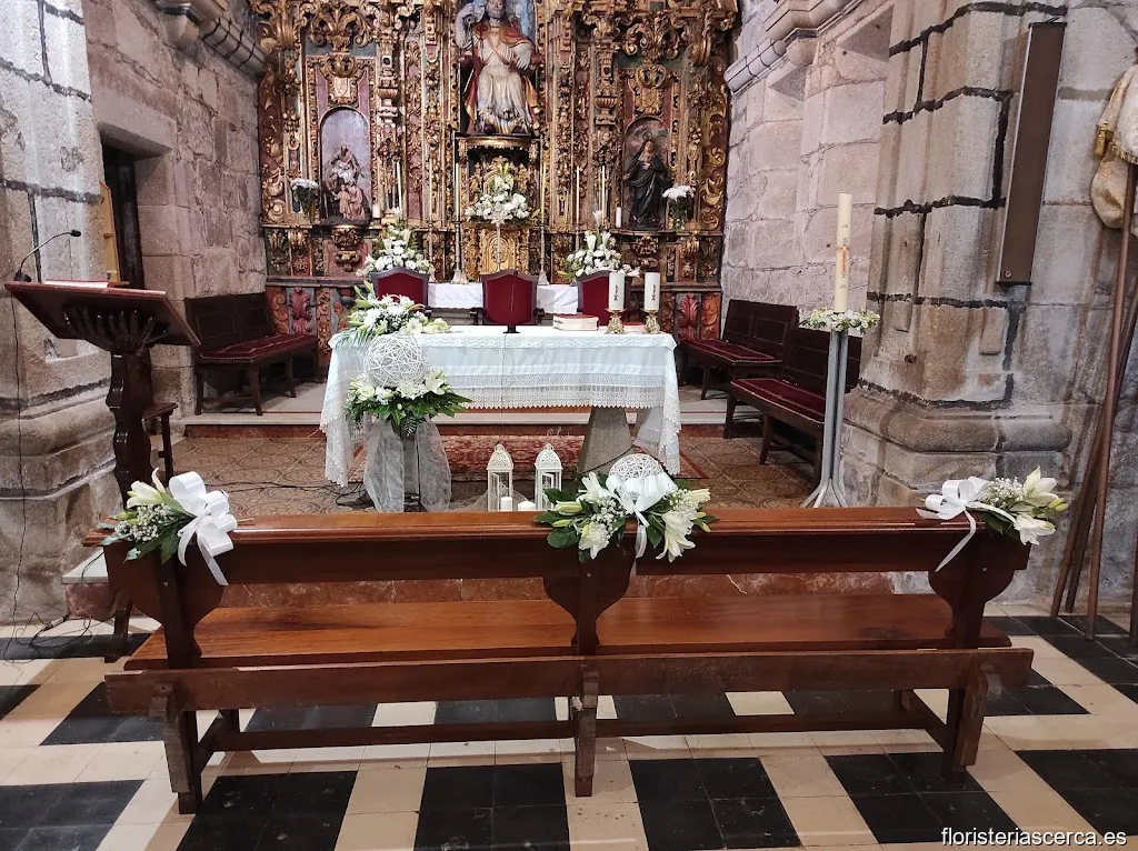 Las flores de Raquel