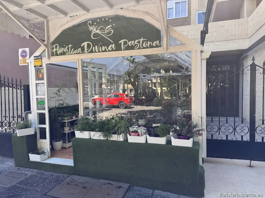 Floristería Divina Pastora