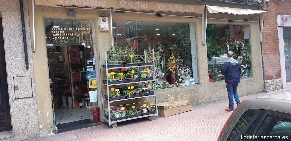 Floristería Jardín