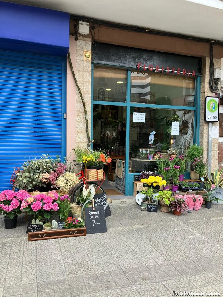 Floristería delBOSQUE | Plantas, talleres y eventos