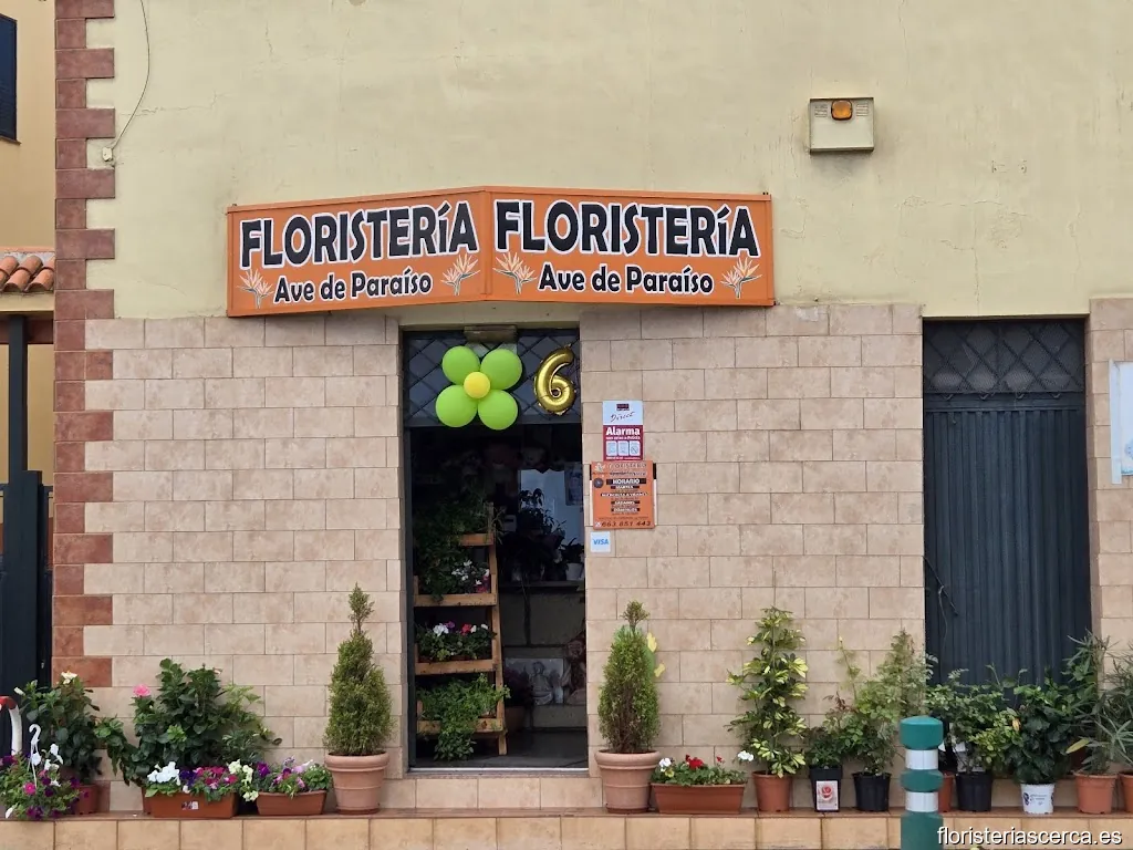 Floristería Ave de Paraíso