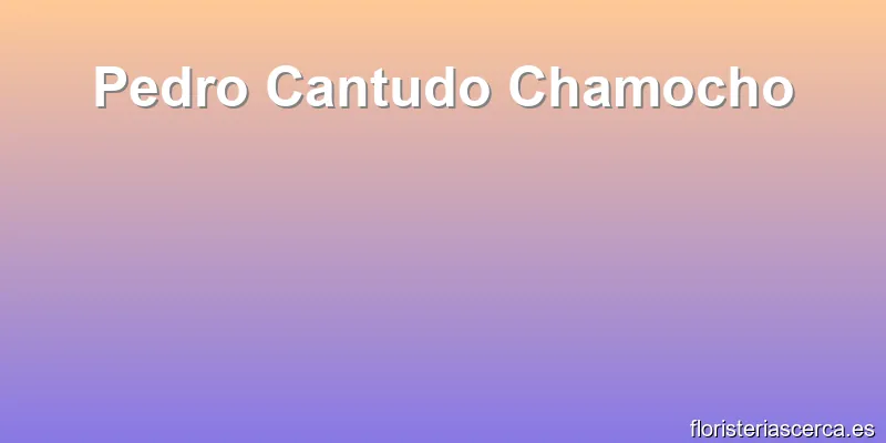 Pedro Cantudo Chamocho