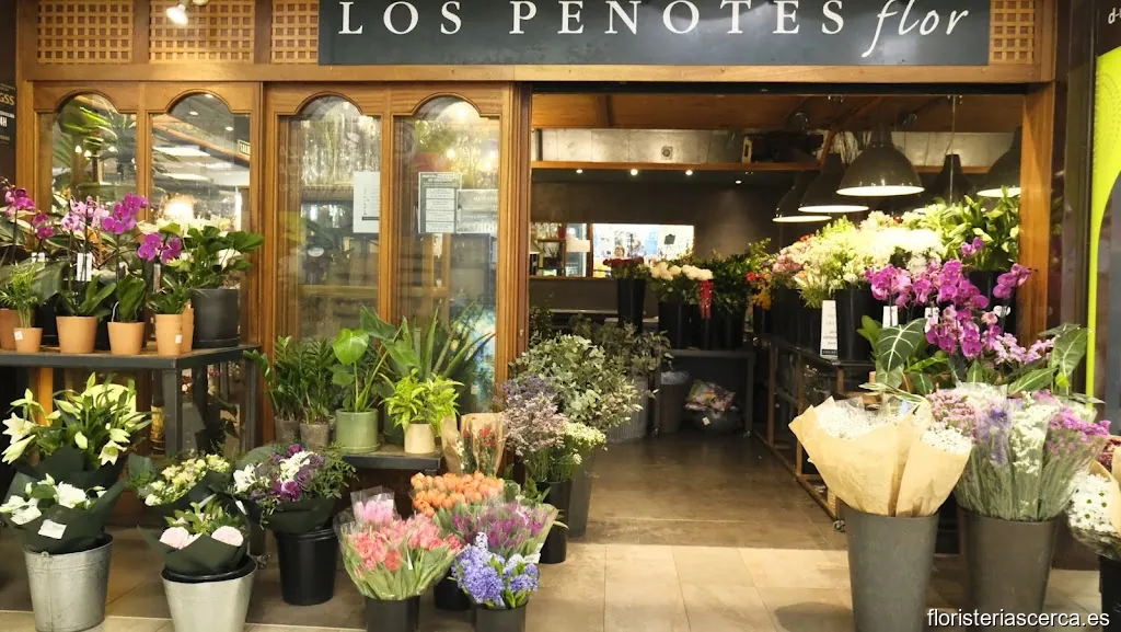 Floristería Verdecora CC Carrefour Alcobendas