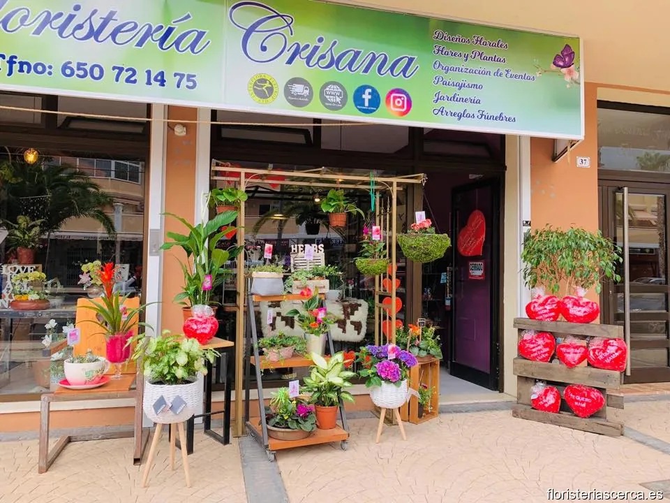 FLORISTERIAS CRISANA ADEJE