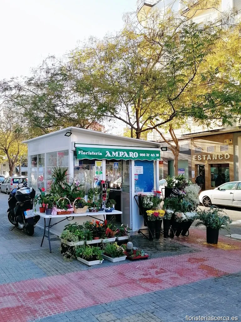 Floristeria Amparo