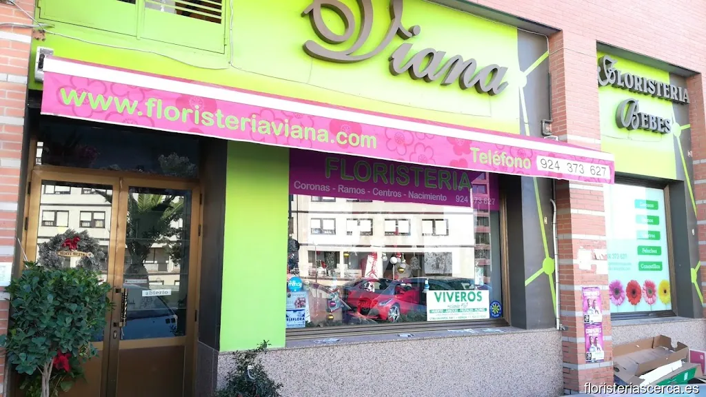 Jardín de Monet (Floristería Viana)