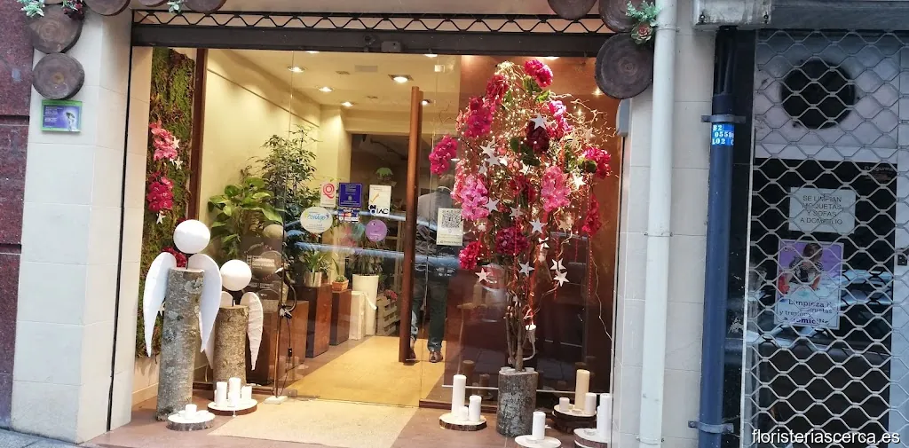 Floristería Begonia