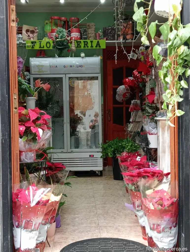 FLORIST GUIMAGUADA