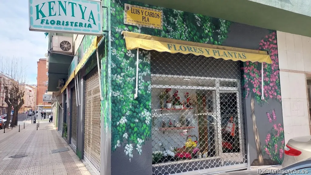 Kentia Floristería