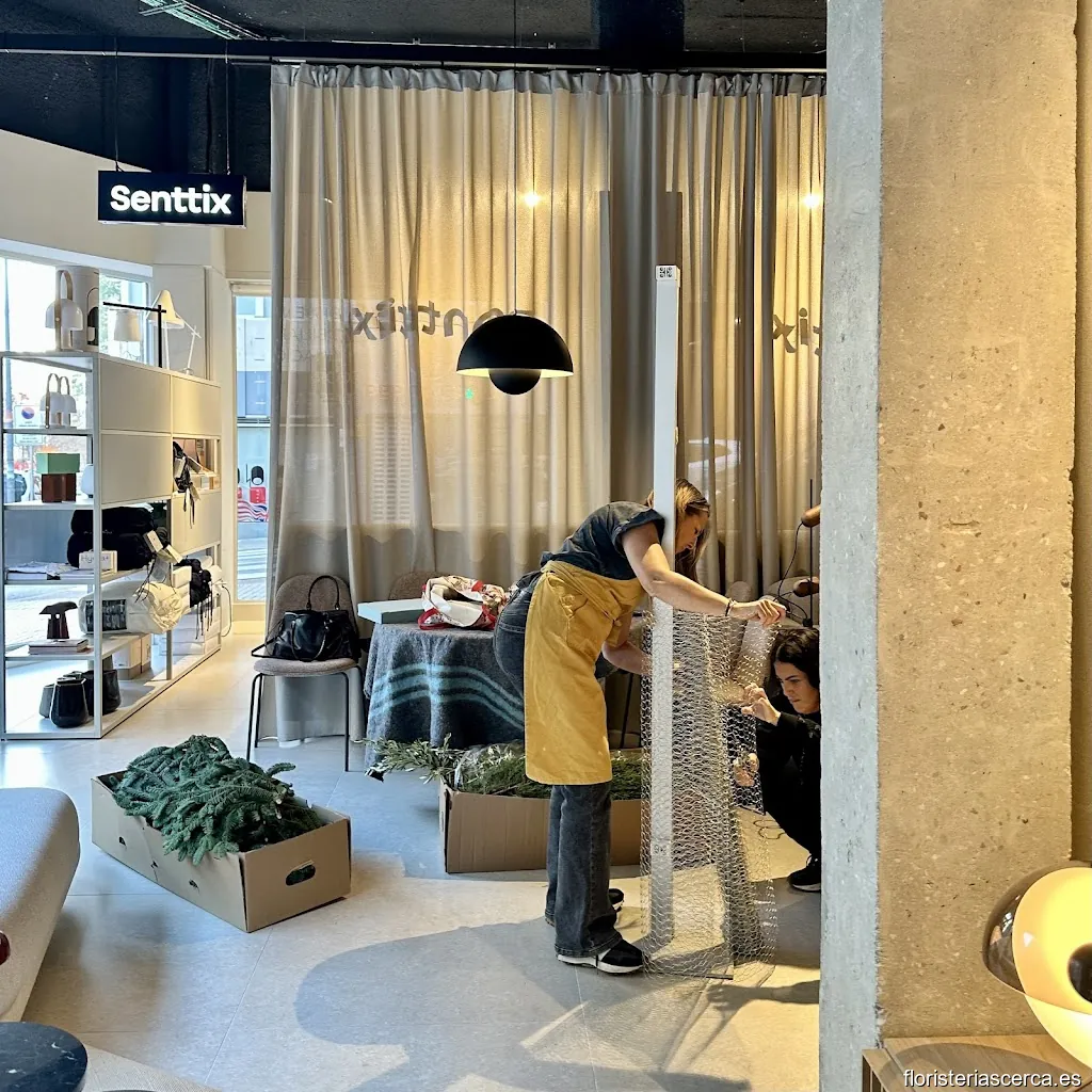 La Florever Flores Preservadas