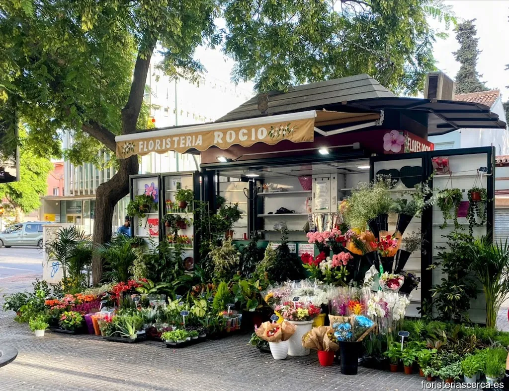 Floristería rocio