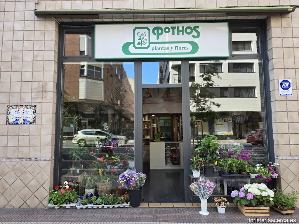 Floristería Pothos