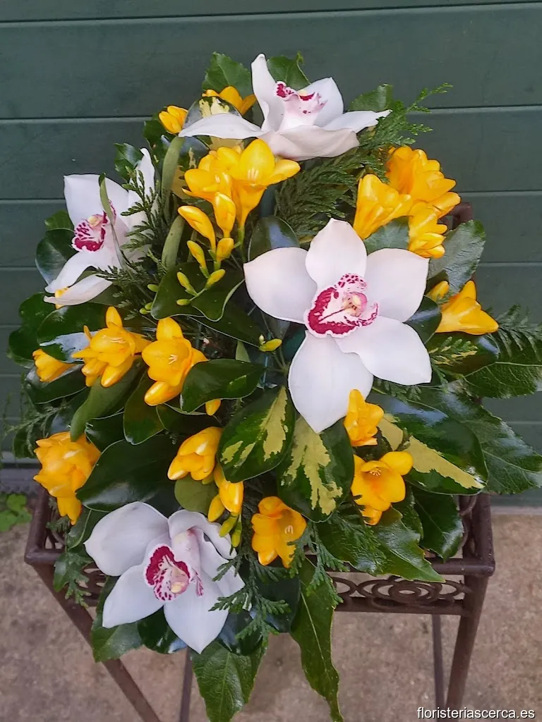 Floristería Montse - Pereiró, Vigo