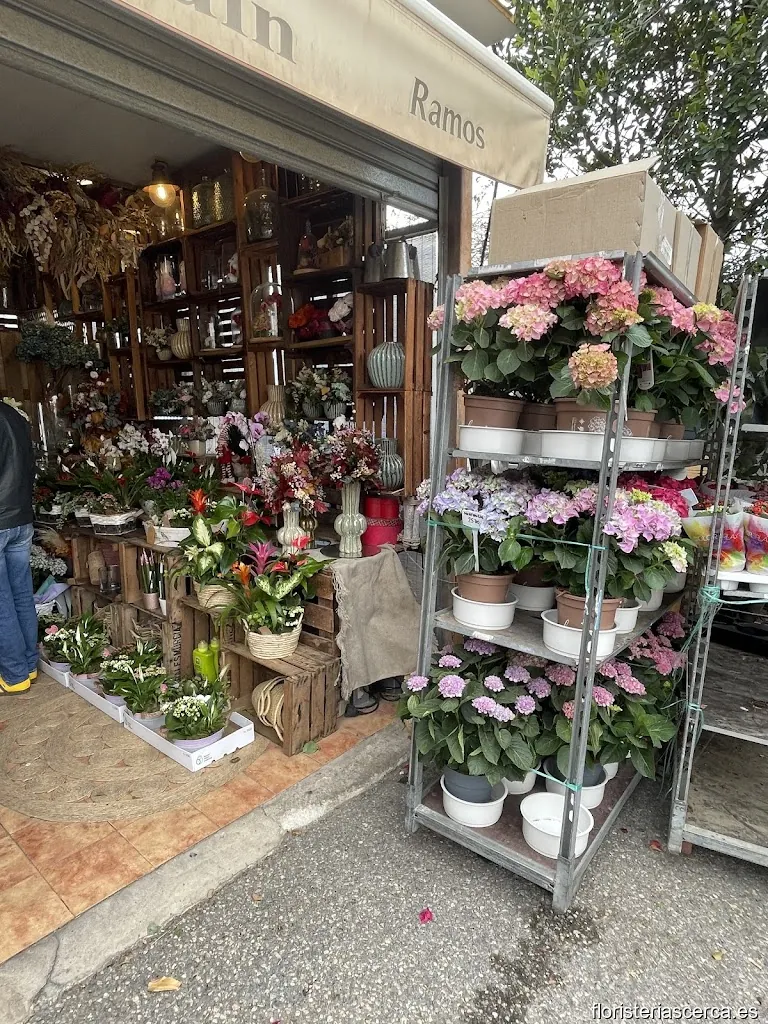 TOMAJARDIN FLORISTAS