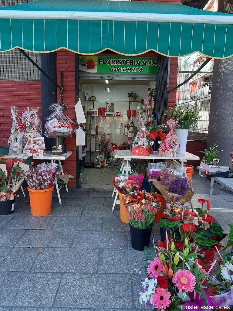 Floristeria Ana
