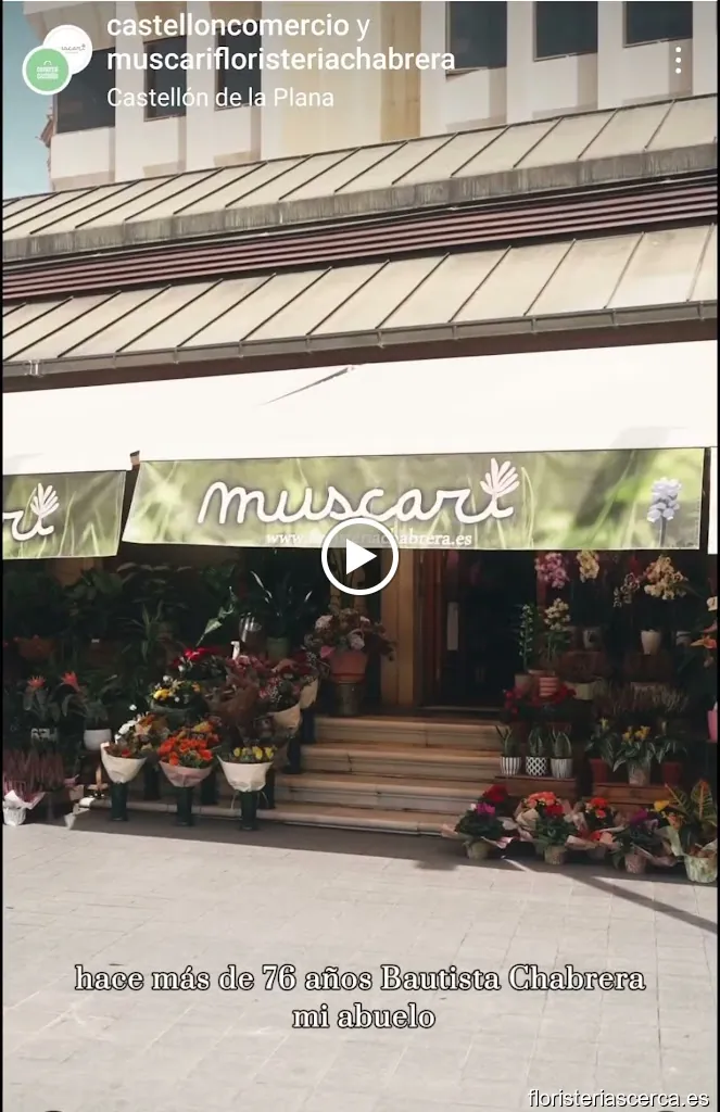 MUSCARI FLORISTERIA CHABRERA