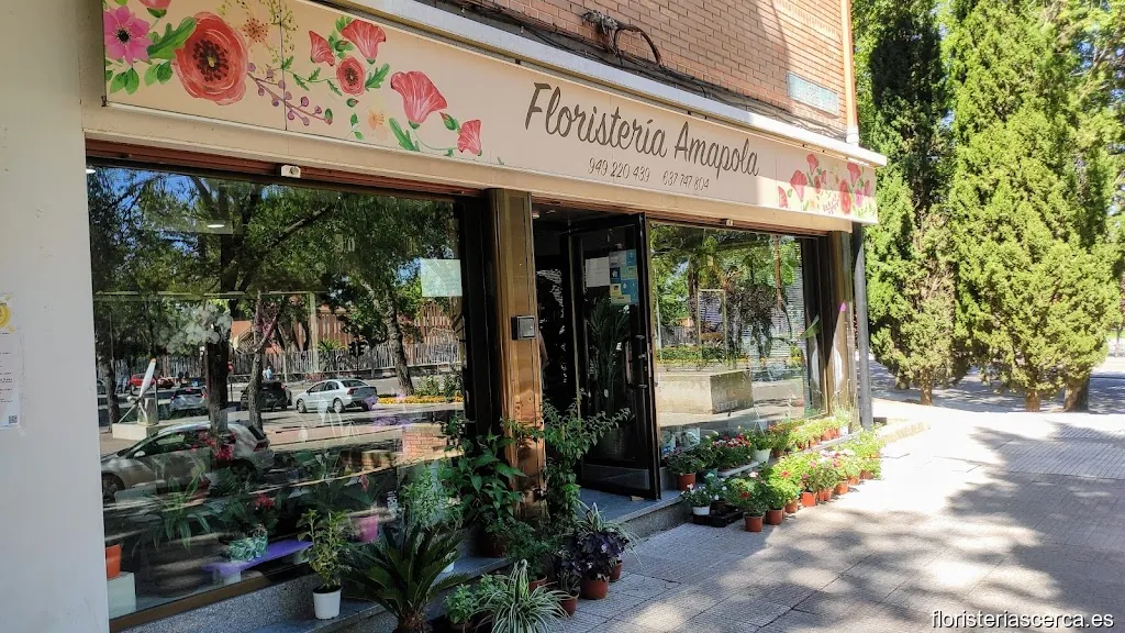 Floristería Amapola