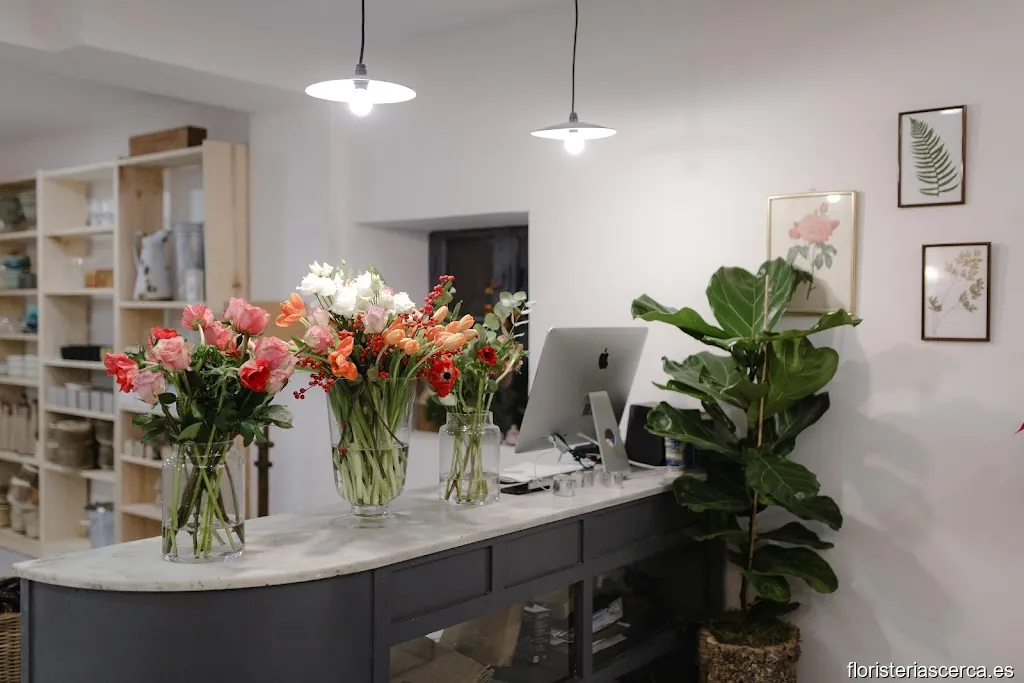 Julia Tellechea Taller Floral - Floristería