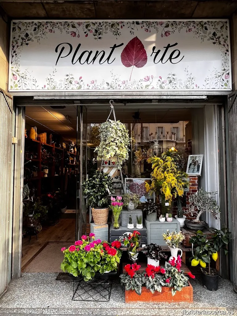 Floristeria PlantArte Barcelona