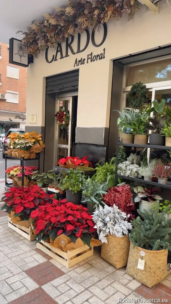 CARDO Artefloral