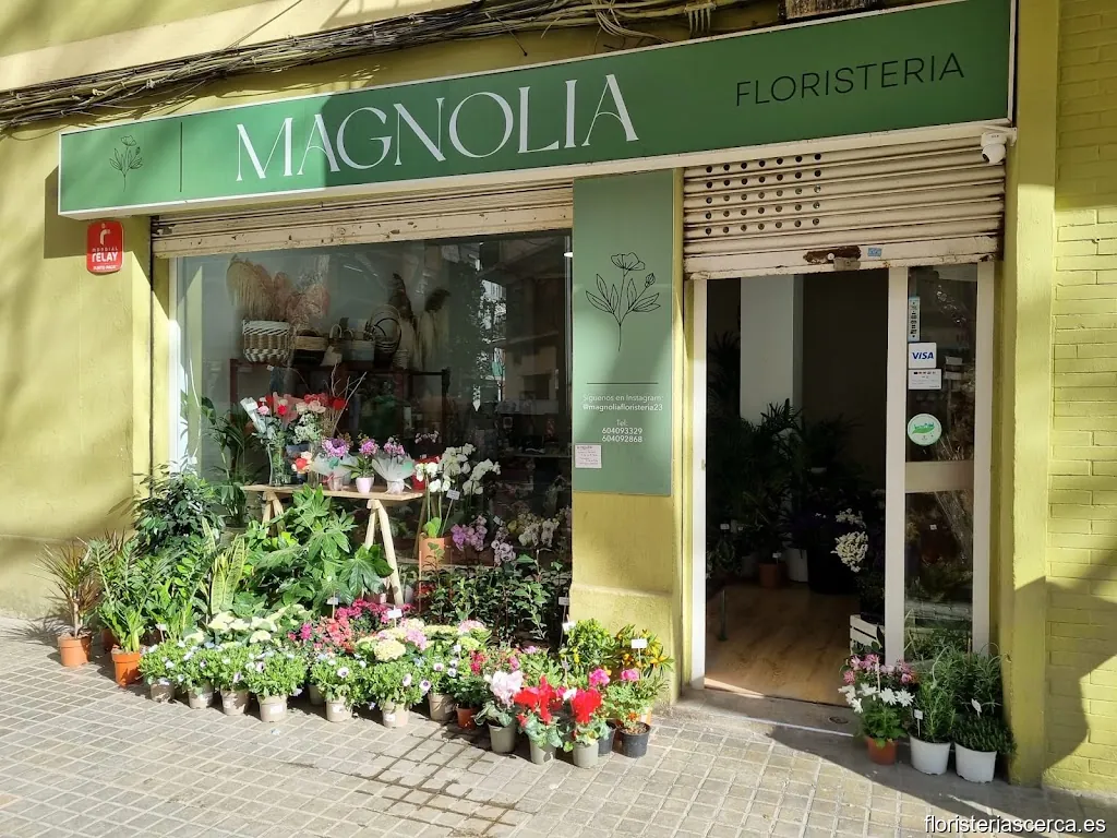 Magnolia Floristeria