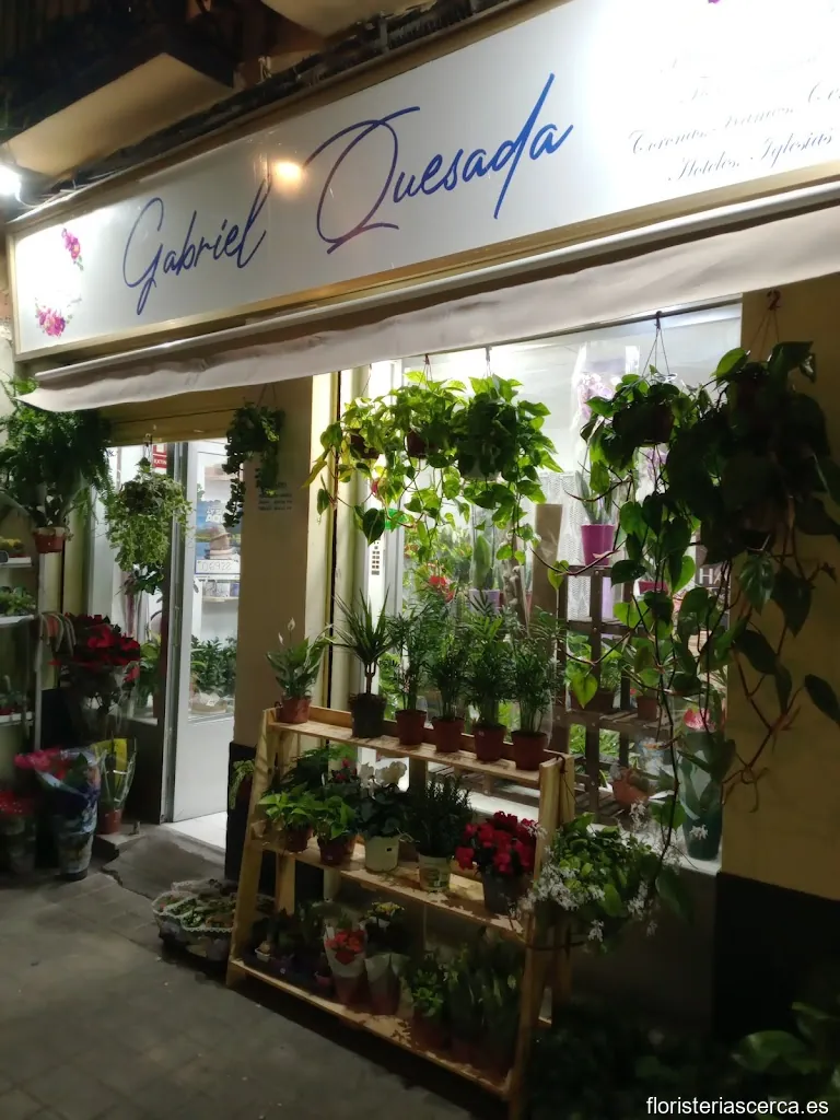 Floristería Entre Flores Gabriel quesada