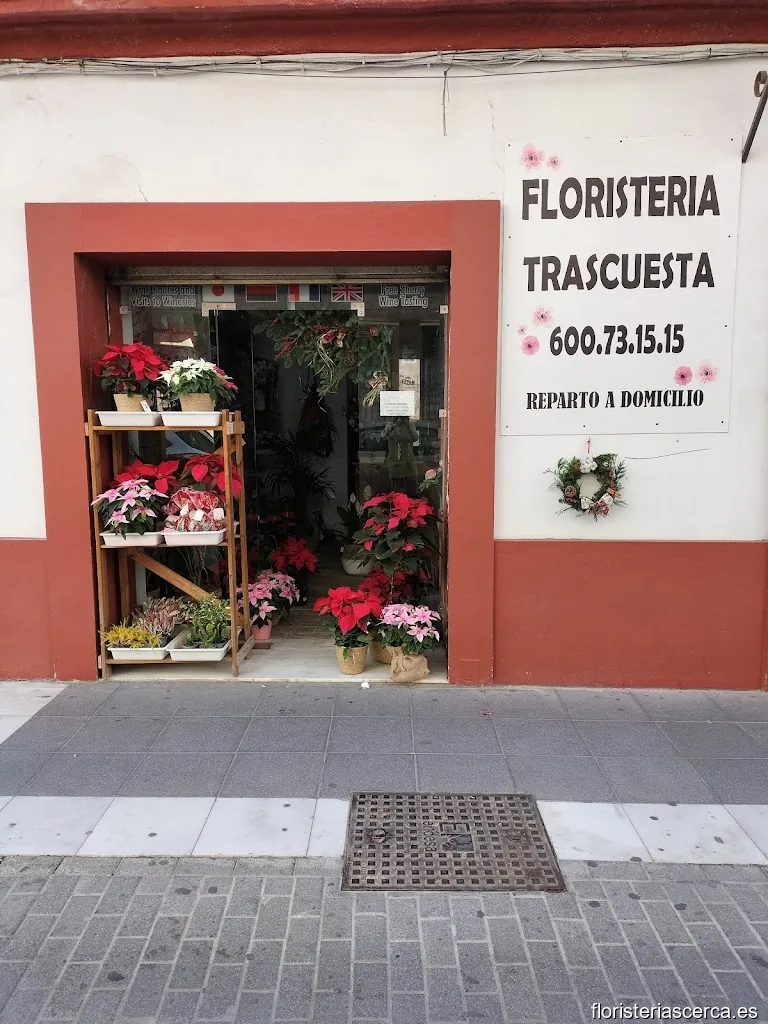 Floristería trascuesta