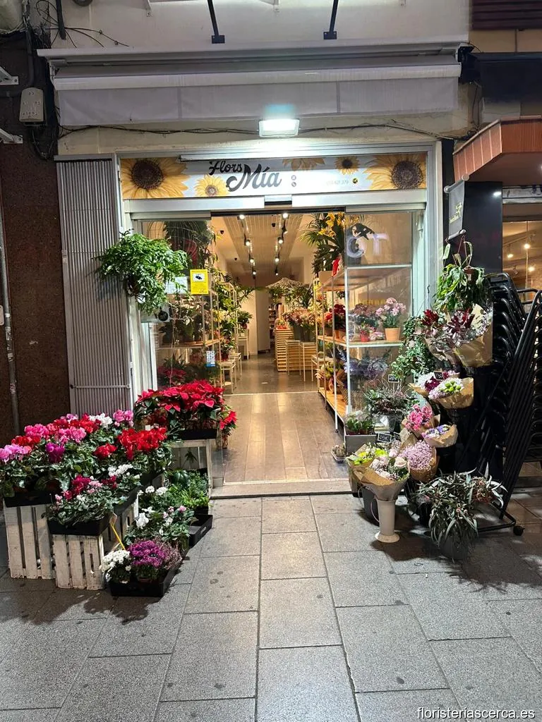 Flors Mia
