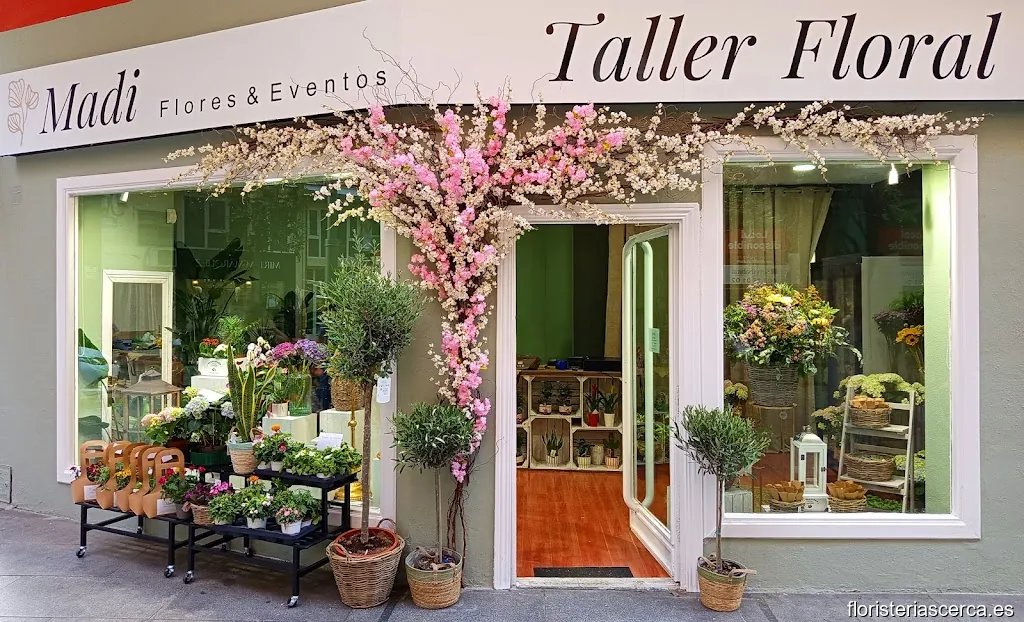 Madi Flores y Eventos