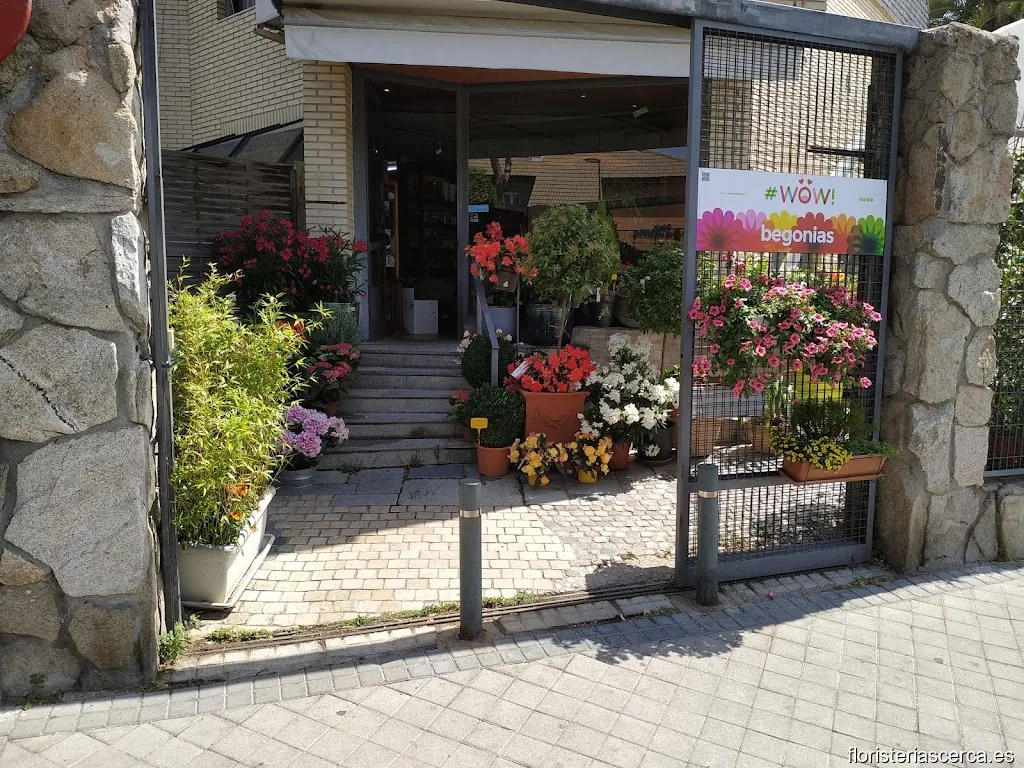 Floristería La Ermita de Pozuelo