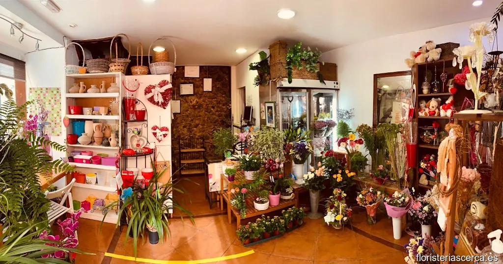 Floristería Beniflor - Mundo Botánico