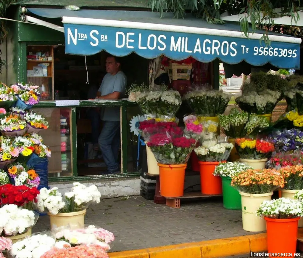 Floristería NUESTRA SRA De Los Milagros