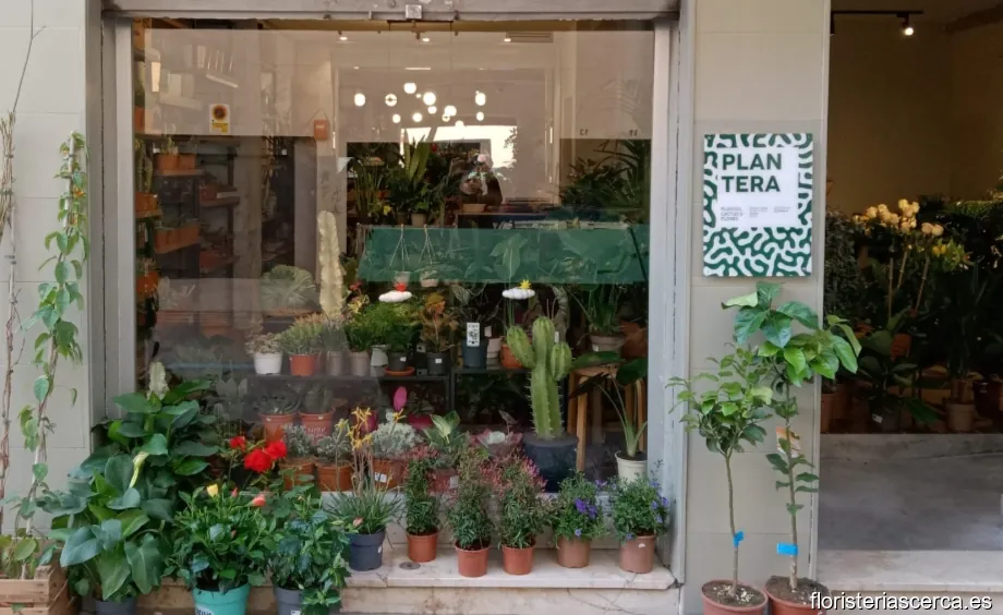 Floristería PLANTERA