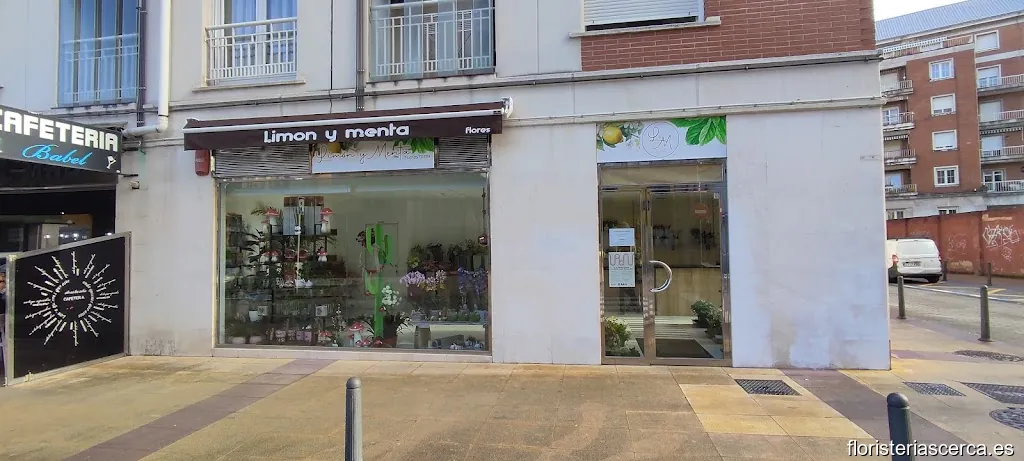 Flores Limón & Menta