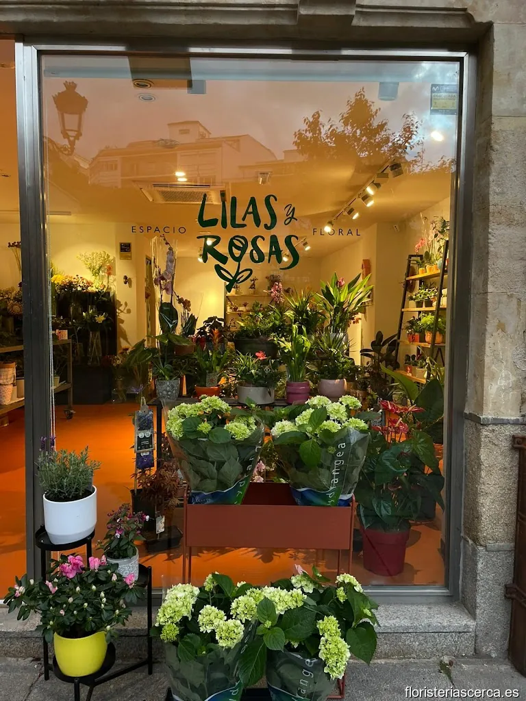 Lilas y Rosas Espacio Floral