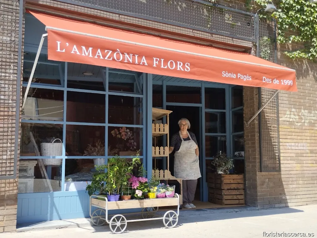 L' Amazònia Flors Floristeria