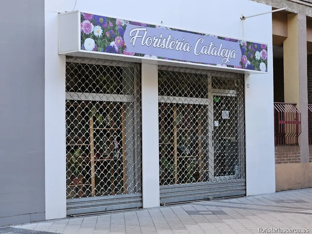 Floristería Cataleya (Adrián González López)
